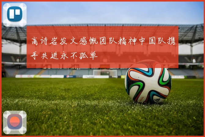 高诗岩发文感慨团队精神中国队携手共进永不孤单