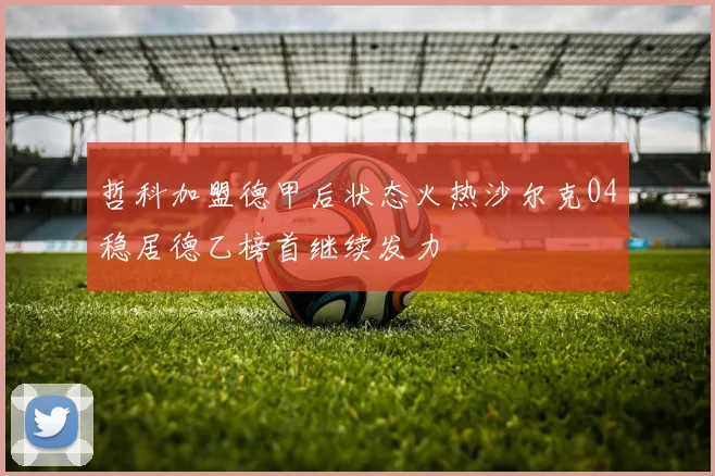 哲科加盟德甲后状态火热沙尔克04稳居德乙榜首继续发力