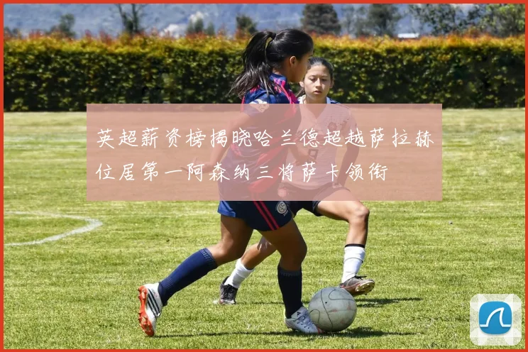 英超薪资榜揭晓哈兰德超越萨拉赫位居第一阿森纳三将萨卡领衔