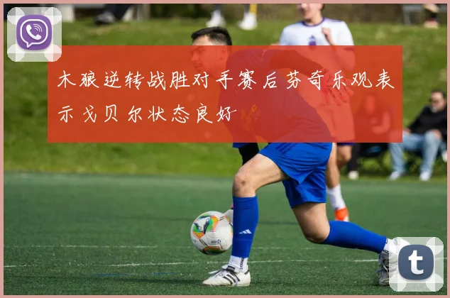 木狼逆转战胜对手赛后芬奇乐观表示戈贝尔状态良好