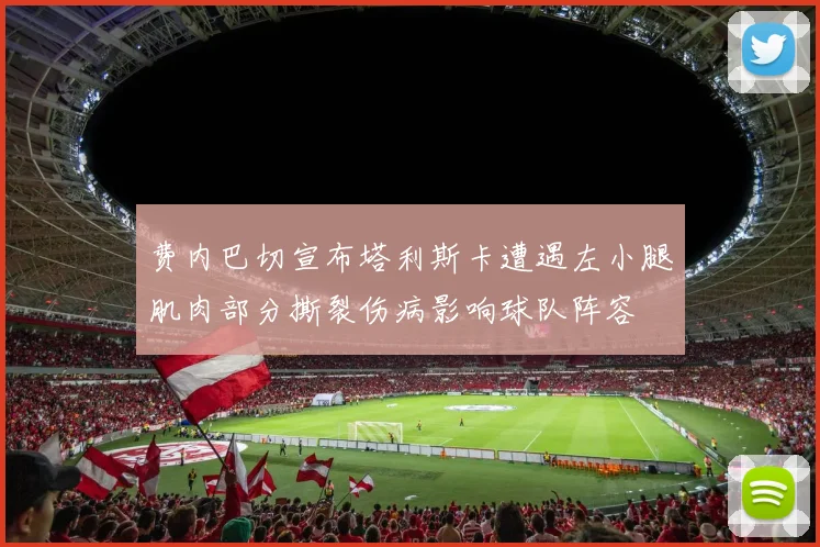 费内巴切宣布塔利斯卡遭遇左小腿肌肉部分撕裂伤病影响球队阵容